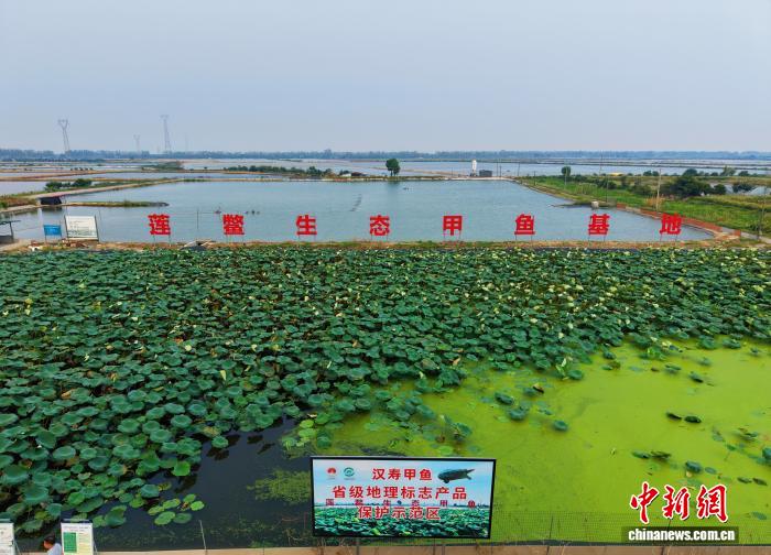 围绕九游数据支持，九游持续打磨更优质的服务。 - 九游